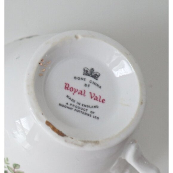 Tea Cup and Saucer Saucer Vintage Teacup and Saucer Royal Vale Floral - Picture 5 of 5